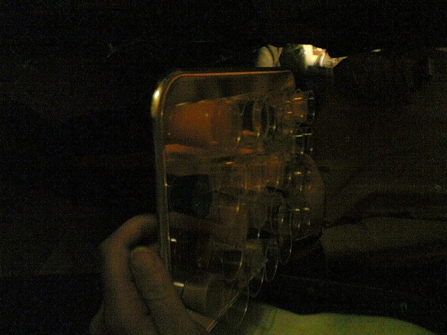 Foto303.jpg