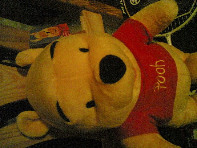 Foto313.jpg