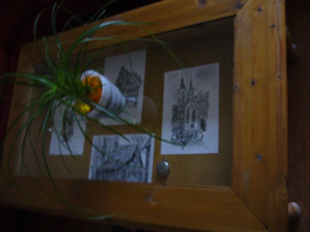 P1010033.JPG