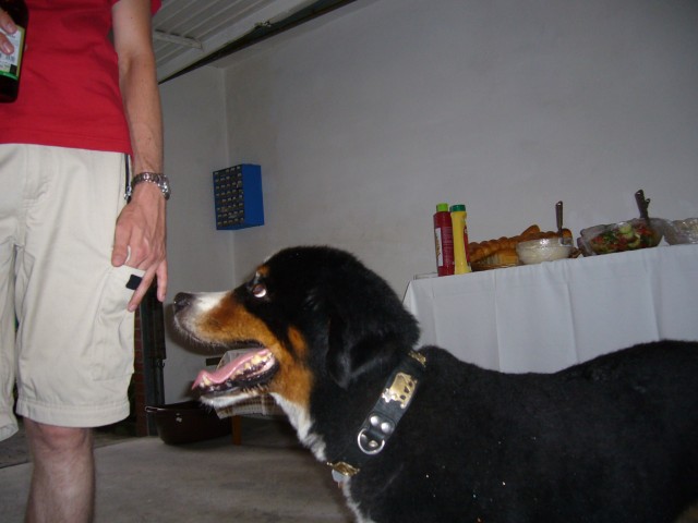 P1010053.JPG