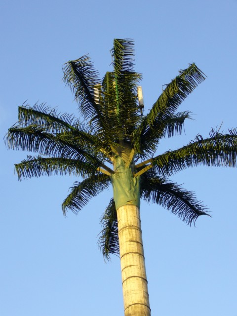 P1010951_Mauritius_Telecom2.JPG
