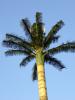 P1010951_Mauritius_Telecom2_thumb.jpg