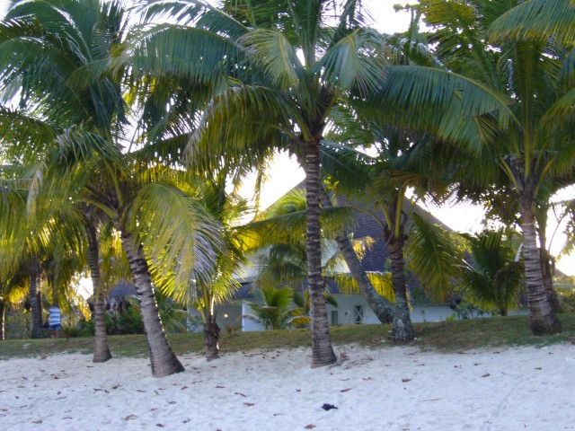 P1010957_Trou_Aux_Biches_Beach5.JPG