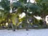 P1010957_Trou_Aux_Biches_Beach5_thumb.jpg