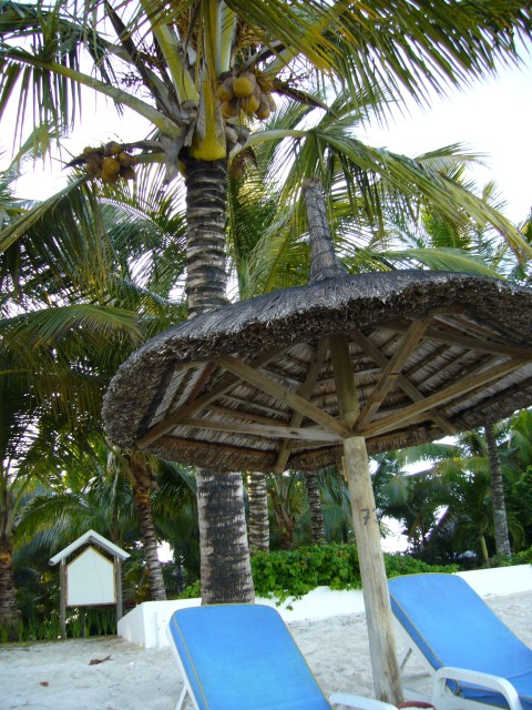 P1010958_Trou_Aux_Biches_Beach6.JPG