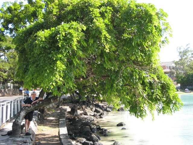 P1010970_Street_And_Beach_At_Grand_Bay_c.JPG