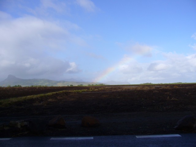 P1010978_Taxiride_With_Rainbow_To_Pampelmousse1.JPG