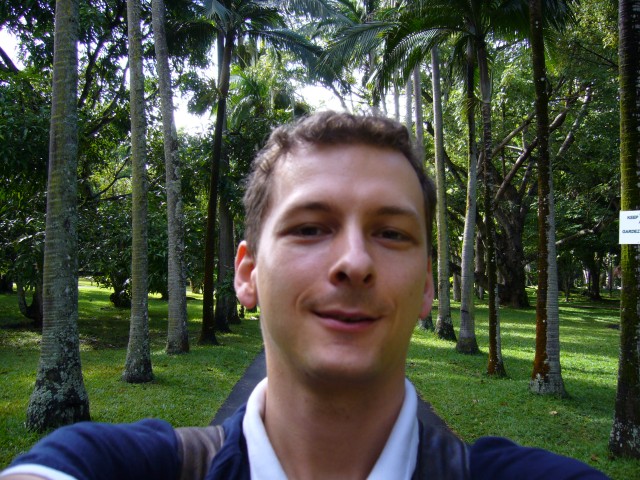 P1010999_Palms_At_Pampelmousse1.JPG