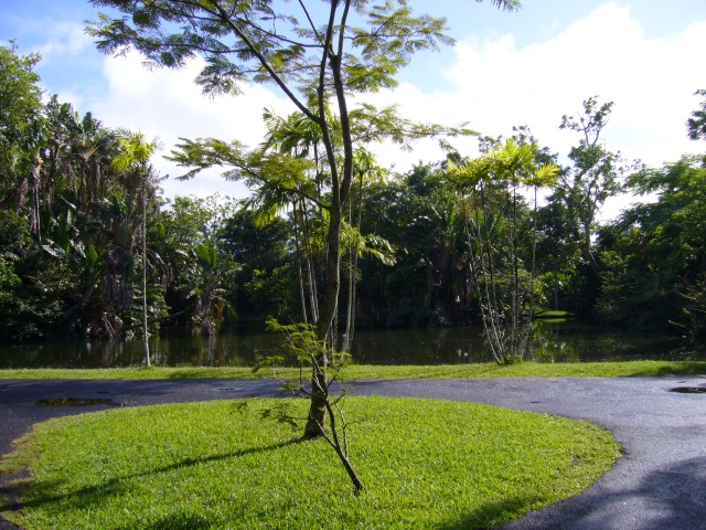 P1020004_Lake_At_Pampelmousse1.JPG