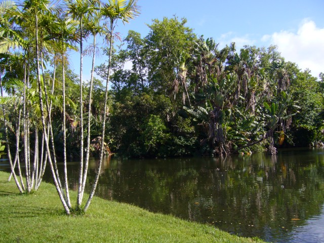 P1020005_Lake_At_Pampelmousse2.JPG