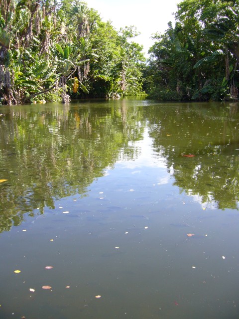 P1020006_Lake_At_Pampelmousse3.JPG