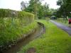 P1020022_Way_Out_of_Pampelmousse_Garden_thumb.jpg