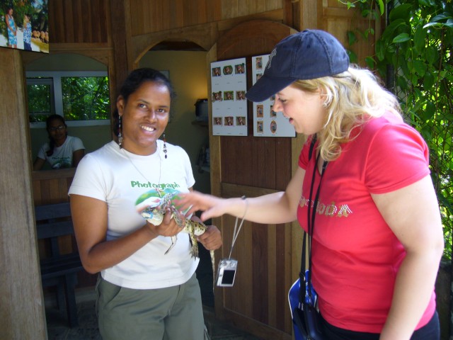 P1020051_Babyalligator_At_Le_Vanille.JPG