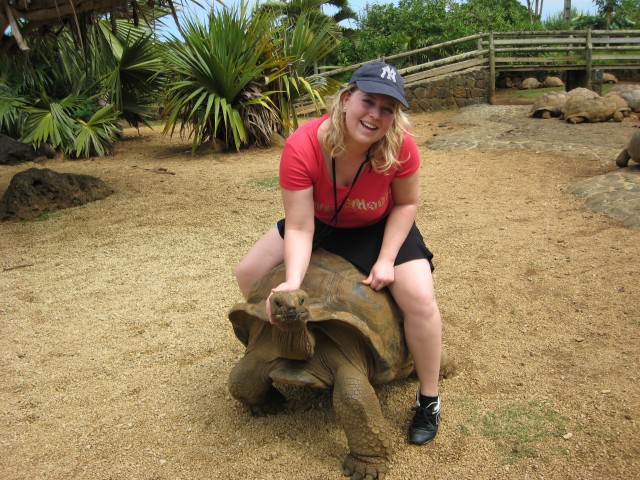 P1020058_Giant_Turtle_At_Le_Vanille6_c.JPG