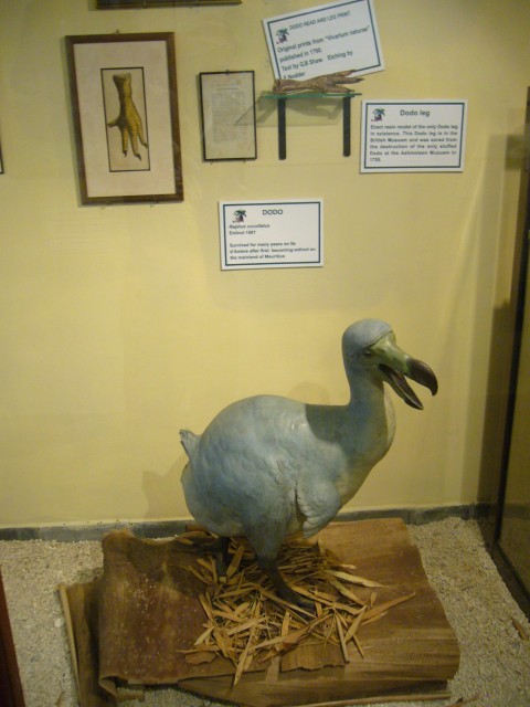 P1020068_Museum_With_Dodo_At_Le_Vanille.JPG