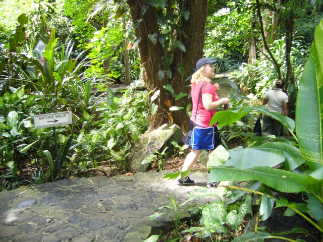 P1020082_Nature_At_Le_Vanille.JPG