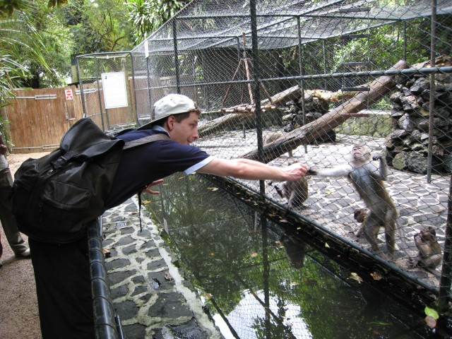P1020112_Monkey_Mother_At_Le_Vanille4_c.JPG