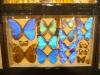 P1020132_House_of_Insects_At_Le_Vanille5_thumb.jpg
