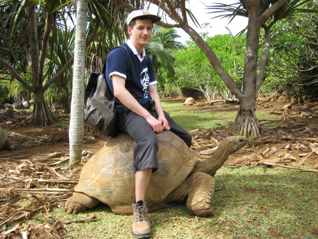 P1020147_Turtle_At_Le_Vanille5_c.JPG