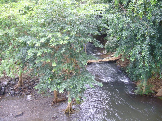 P1020154_Rochesterwaterfalls2.JPG