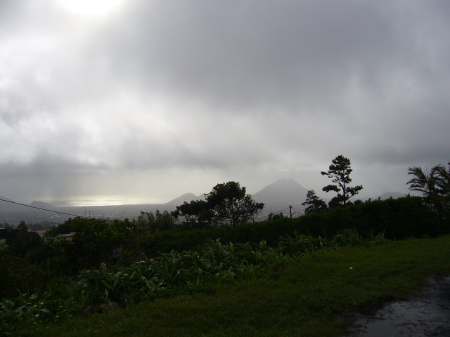 P1020175_From_Top_Of_Volcano_Trou_aux_cerfs3.JPG