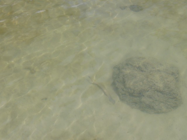 P1020190_Beach_North_From_Trou_Aux_Biches6.JPG