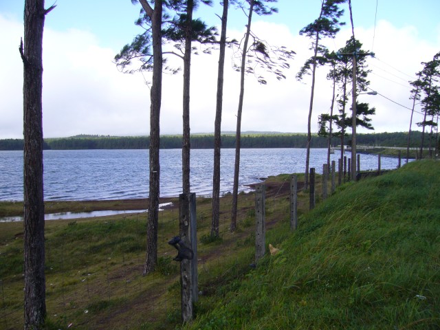 P1020243_Mare_Aux_Vacoas1.JPG