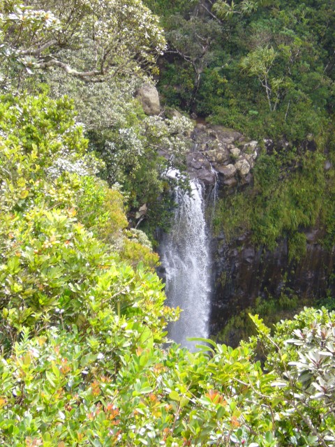 P1020288_Alexander_Falls_At_Black_River_Park6.JPG