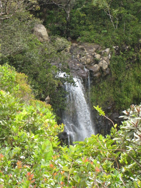 P1020293_Alexander_Falls_At_Black_River_Park12_c.JPG