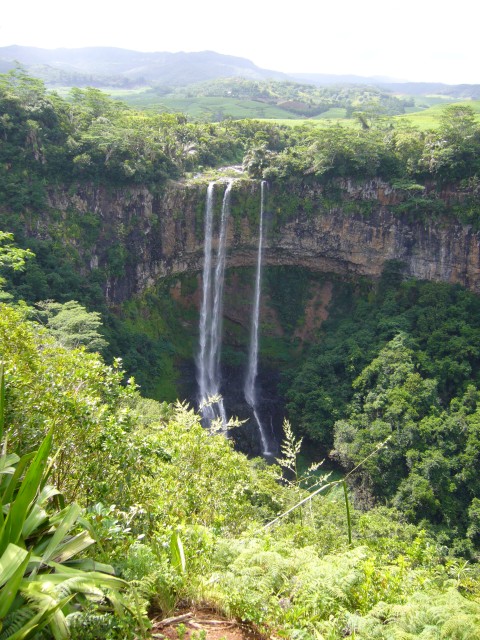 P1020313_At_The_Chamarel_Falls3.JPG