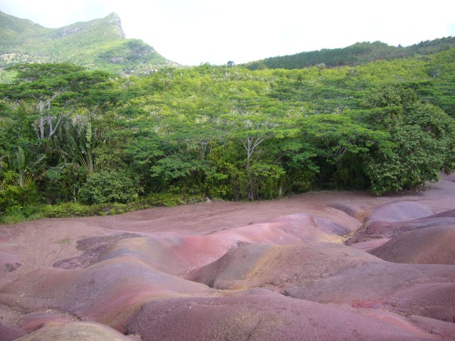 P1020322_Seven_Coloured_Earth_At_Chamarel4.JPG