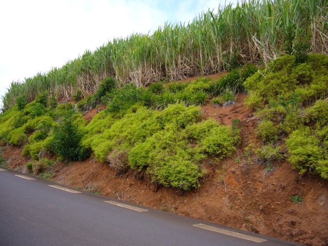 P1020328_The_Street_To_The_Southernmost_Point1.JPG