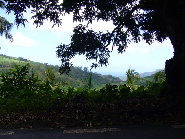 P1020329_The_Street_To_The_Southernmost_Point2.JPG