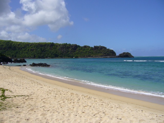 P1020349_At_The_Southern_Coast5.JPG