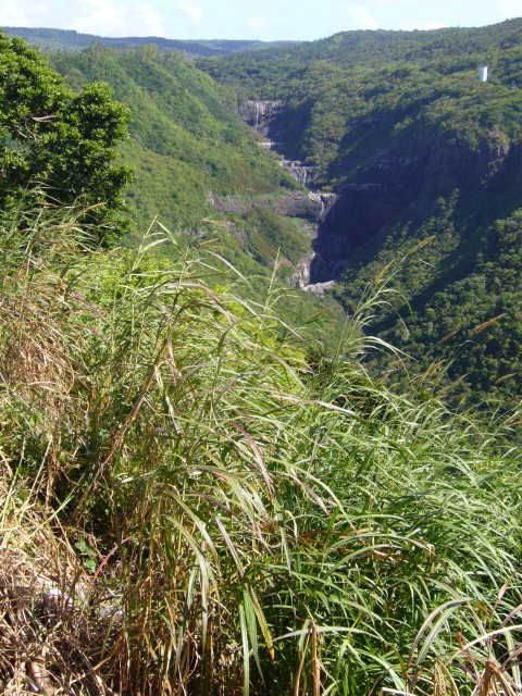 P1020364_The_Seven_Tamarin_Falls_At_The_Top_Of_Valley1.JPG