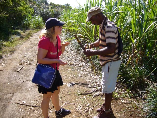 P1020369_Sugger_Cane_Snack_At_The_Tamar_Valley3.JPG