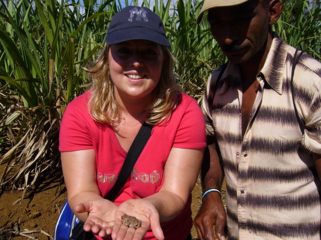 P1020373_Little_Frog_At_The_Tamar_Valley2.JPG