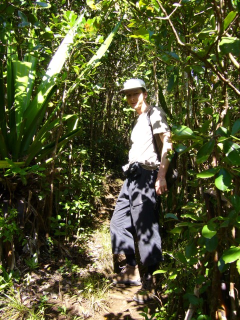 P1020377_Way_To_First_Bassin_From_The_Tamarin_Falls2.JPG