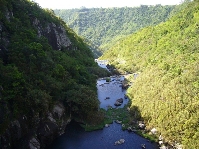 P1020379_At_The_Top_Of_The_Tamarin_Falls2.JPG