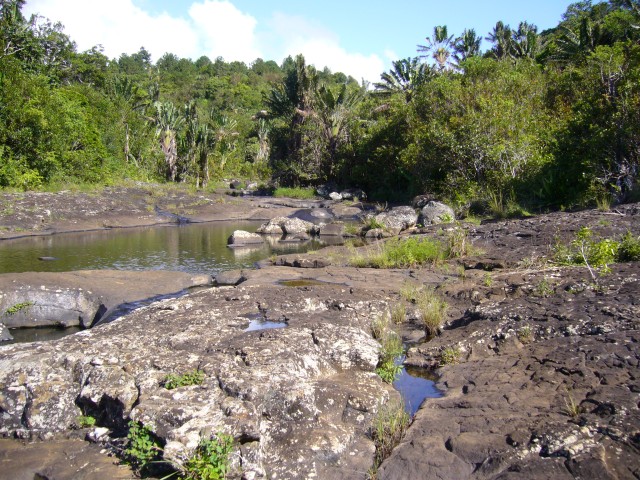 P1020383_At_The_Top_Of_The_Tamarin_Falls6.JPG