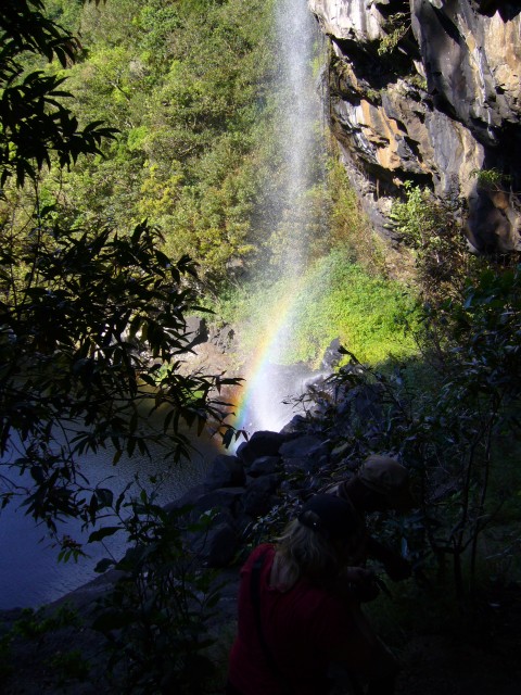 P1020387_Way_To_The_2nd_Bassin_Of_The_Tamarin_Falls1.JPG