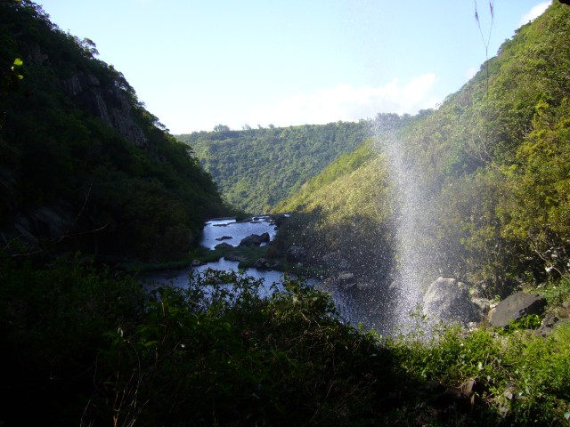 P1020389_Way_To_The_2nd_Bassin_Of_The_Tamarin_Falls3.JPG