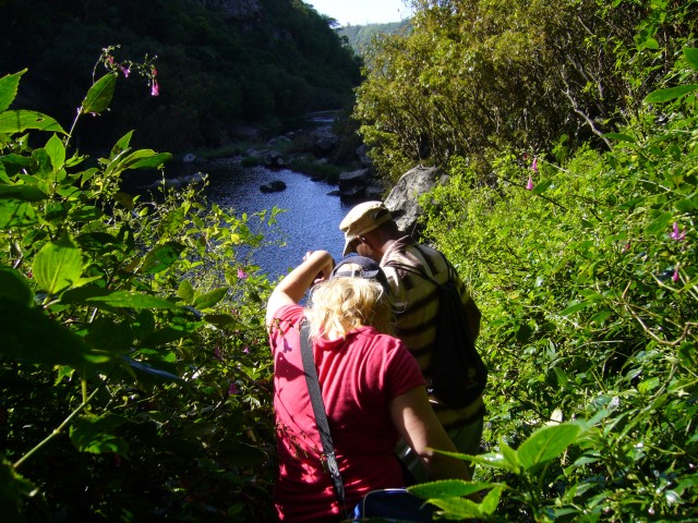 P1020390_Way_To_The_2nd_Bassin_Of_The_Tamarin_Falls4.JPG