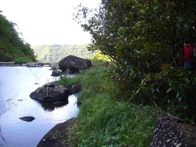 P1020397_Way_To_The_3rd_Fall_Of_The_Tamarin_Falls1.JPG