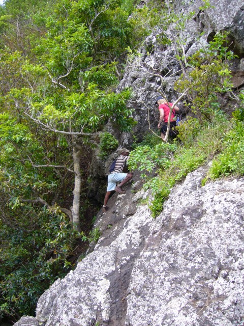 P1020403_Way_To_The_4th_Fall_Of_The_Tamarin_Falls1.JPG