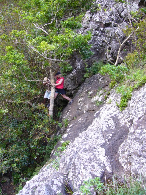 P1020404_Way_To_The_4th_Fall_Of_The_Tamarin_Falls2.JPG