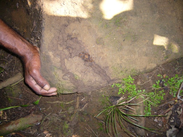 P1020419_Termites_At_The_Way_Up_The_Tarma_Valley.JPG