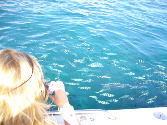 P1020467_The_Aquarium_Snorkling_Point_At_Boattour2.JPG