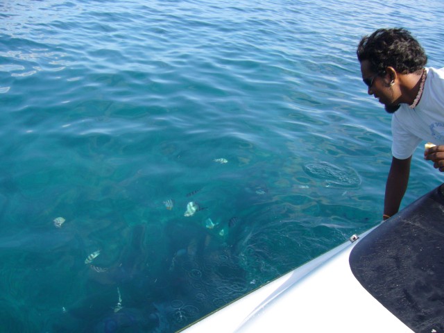P1020468_The_Aquarium_Snorkling_Point_At_Boattour3.JPG
