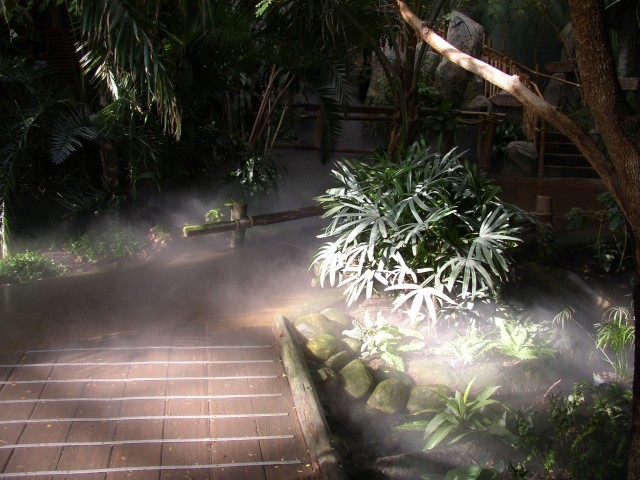 Canada-Alberta-Calgary-Zoo-Tropical_House-Fog_1_1984x1488.jpg